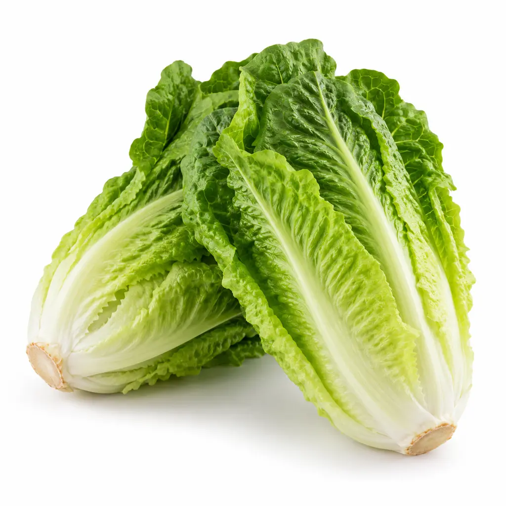 کاهو